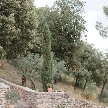 Bed & Breakfast Provence Dodo 3*