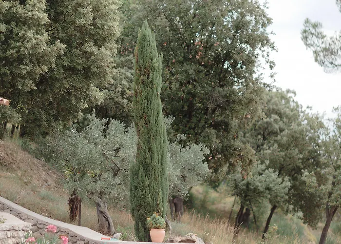 Bed & Breakfast Provence Dodo 3*