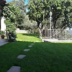 Provence Dodo