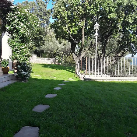 Provence Dodo